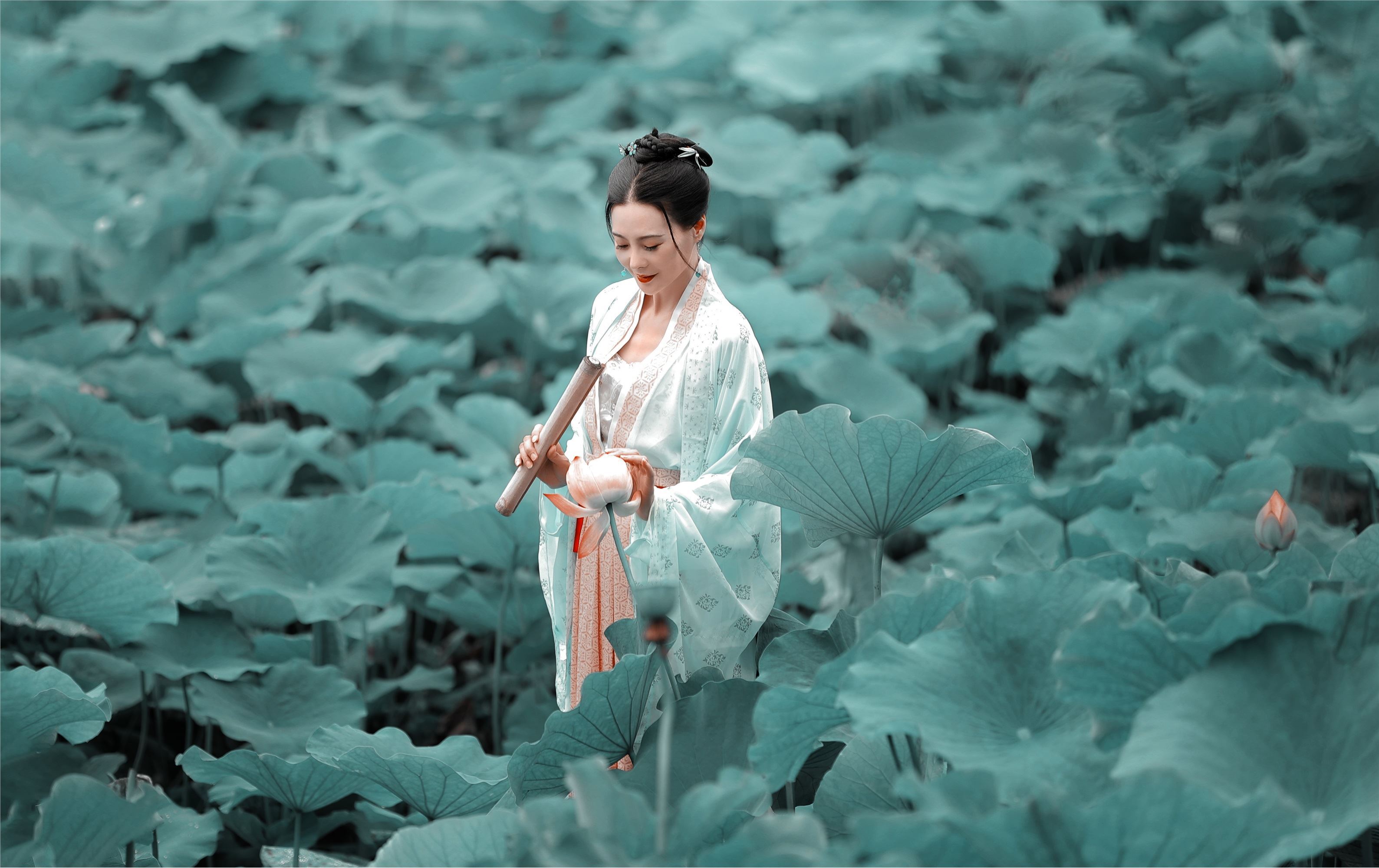 YITUYU艺图语 2021.08.16 采莲曲 莲